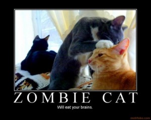 Zombie-cat-will-eat-your-brainz-550x440