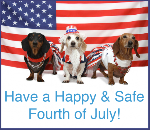 4th-july-dogs