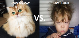 How my cat look vs how i look