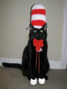 cat in the hat costume