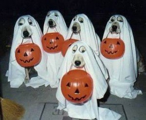 halloween-dogs-as-ghosts