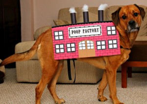 poop factory dog costume