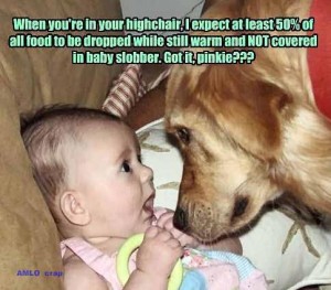 humor-dog-telling-baby-how-to-drop-food