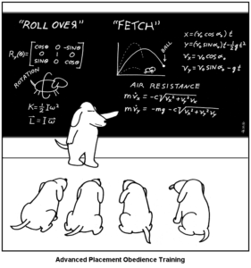 every_time_your_dog_fetches_a_ball_it_is_doing_calculus-s744x794-105312