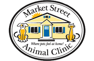 Veterinarians in Leesburg | Market Street Animal Clinic